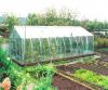 Бизнес на даче: реальные и креативные идеи